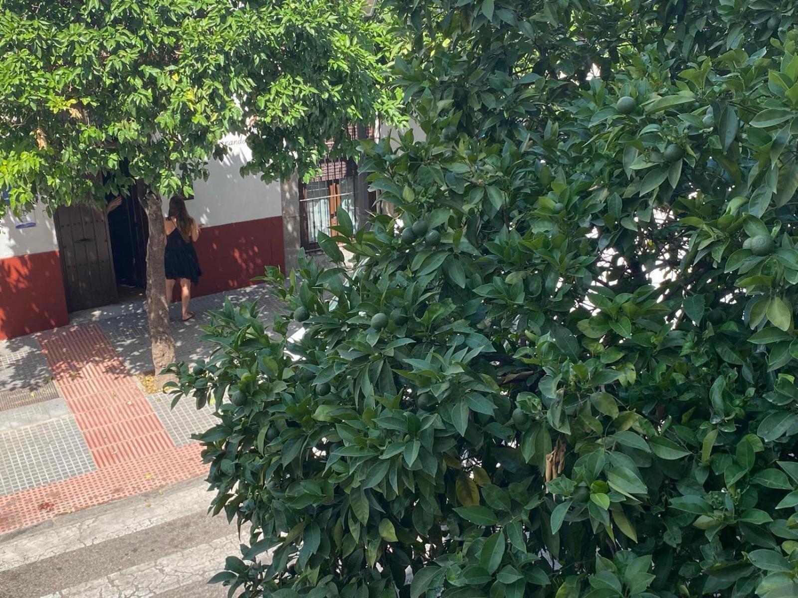 La Escalerita Córdoba Exterior foto